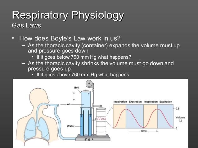 Boyle's law - respiration (1)